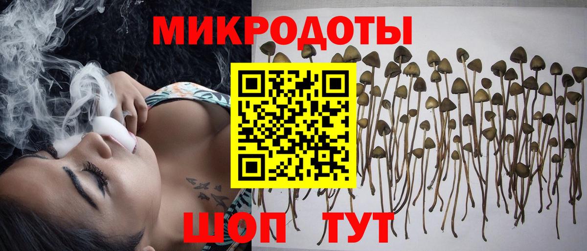 Урус-Мартан  Галлюциногенные грибы ЛСД  Вход с VPN 
